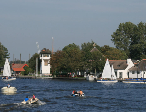 Meerkoet – Kagerplassen